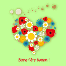 Fleurs color&eacute;es pour f&ecirc;ter maman avec amour